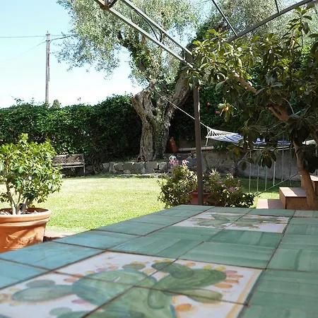 La Cycas And Aci Trezza