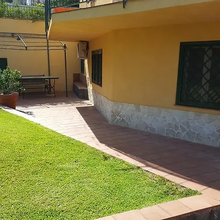 La Cycas And